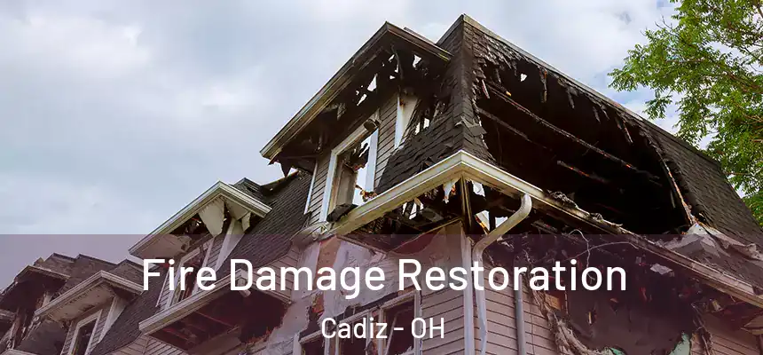 Fire Damage Restoration Cadiz - OH
