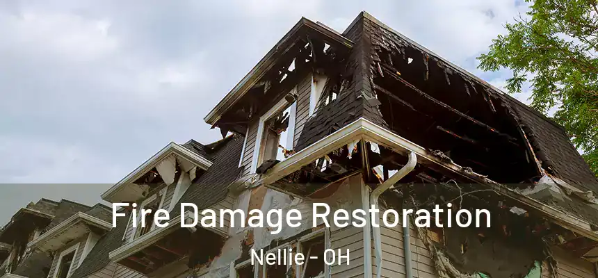  Fire Damage Restoration Nellie - OH