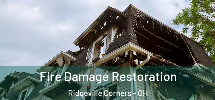 Fire Damage Restoration Ridgeville Corners - OH