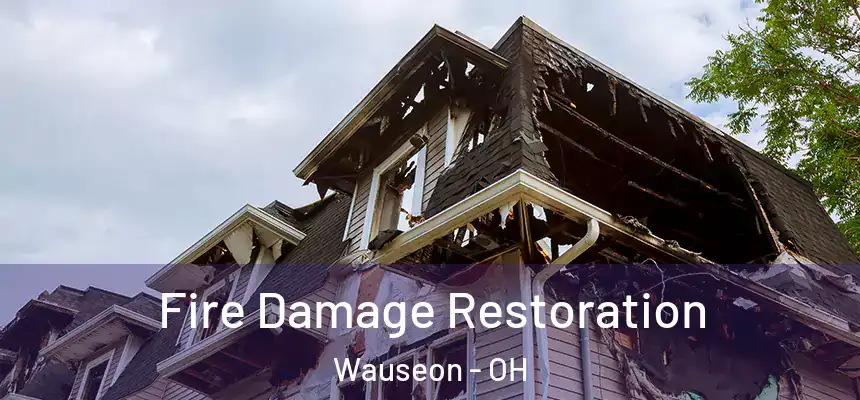  Fire Damage Restoration Wauseon - OH