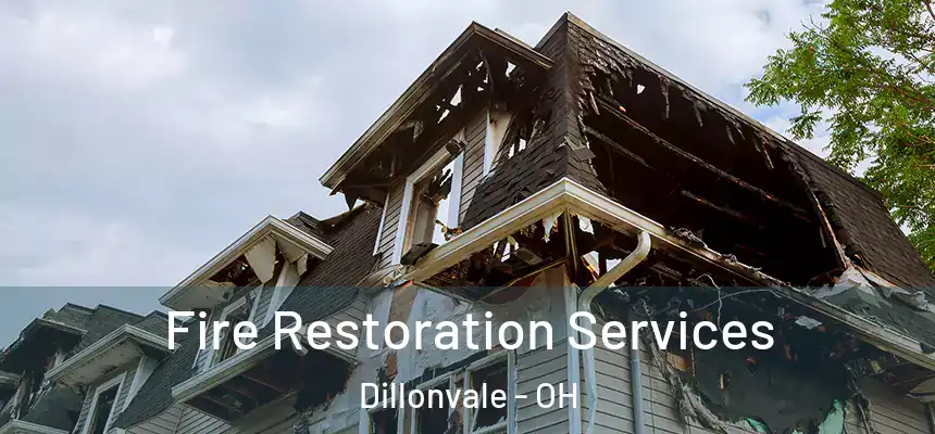Fire Restoration Services Dillonvale - OH