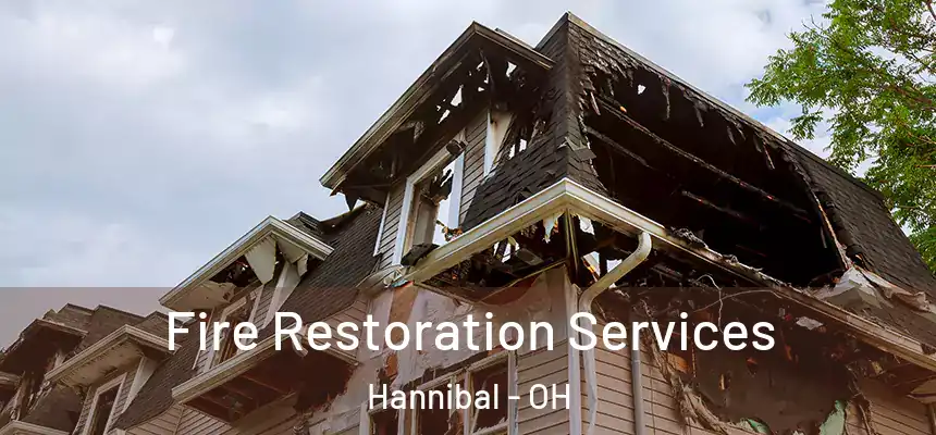 Fire Restoration Services Hannibal - OH