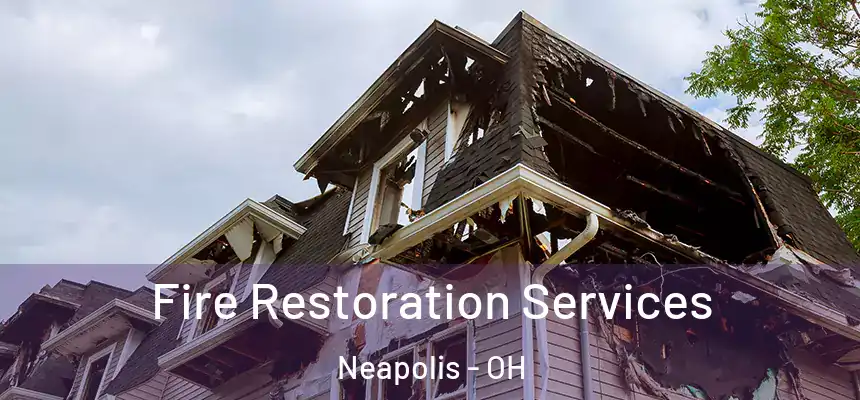  Fire Restoration Services Neapolis - OH