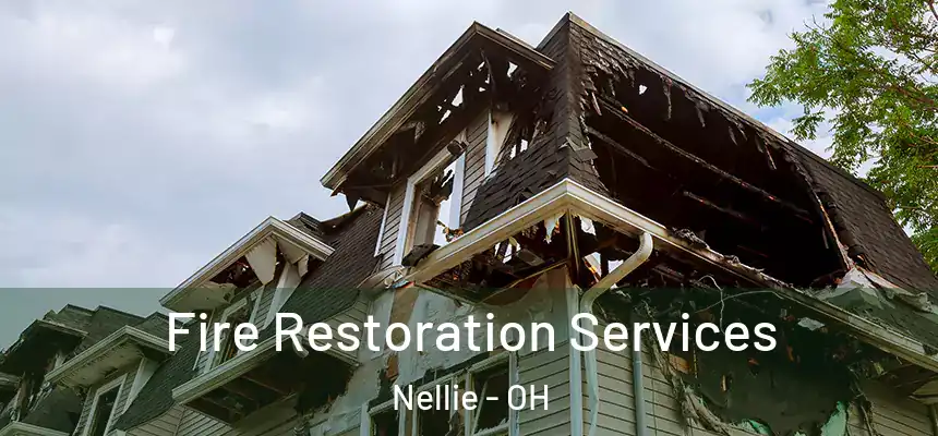  Fire Restoration Services Nellie - OH