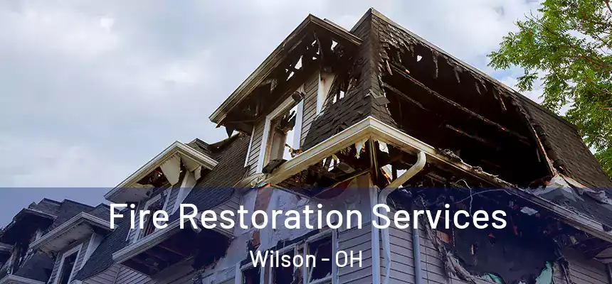  Fire Restoration Services Wilson - OH