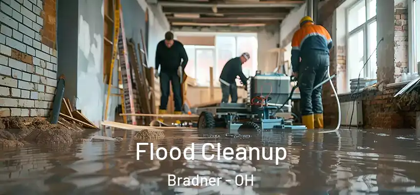 Flood Cleanup Bradner - OH