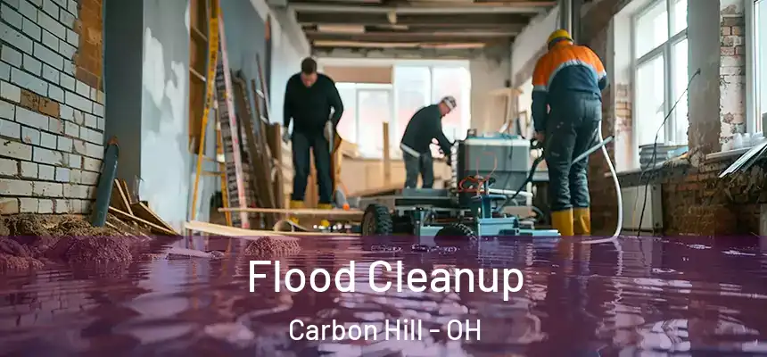 Flood Cleanup Carbon Hill - OH