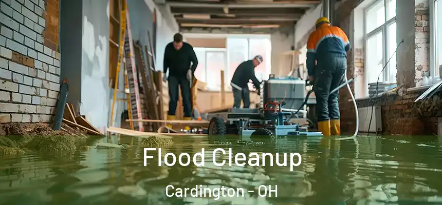  Flood Cleanup Cardington - OH