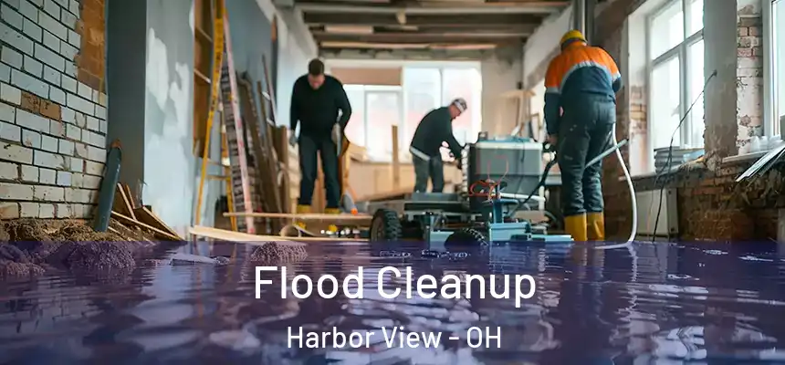  Flood Cleanup Harbor View - OH