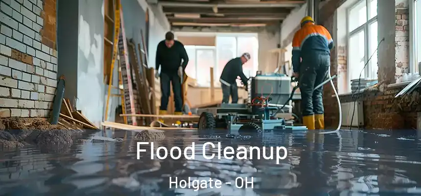 Flood Cleanup Holgate - OH