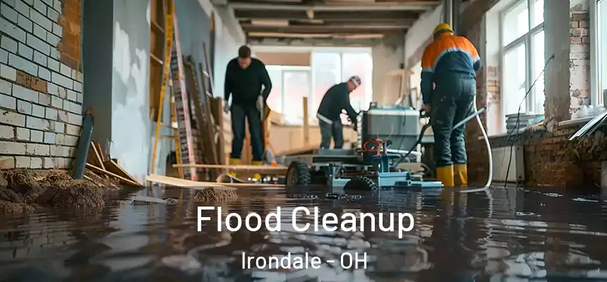 Flood Cleanup Irondale - OH