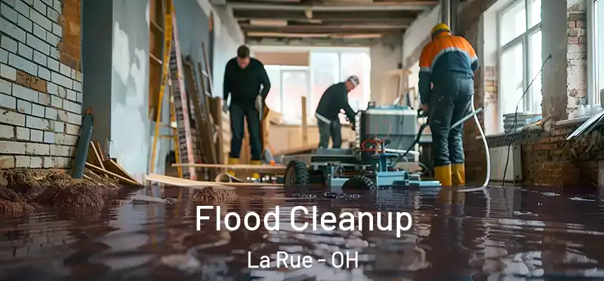  Flood Cleanup La Rue - OH