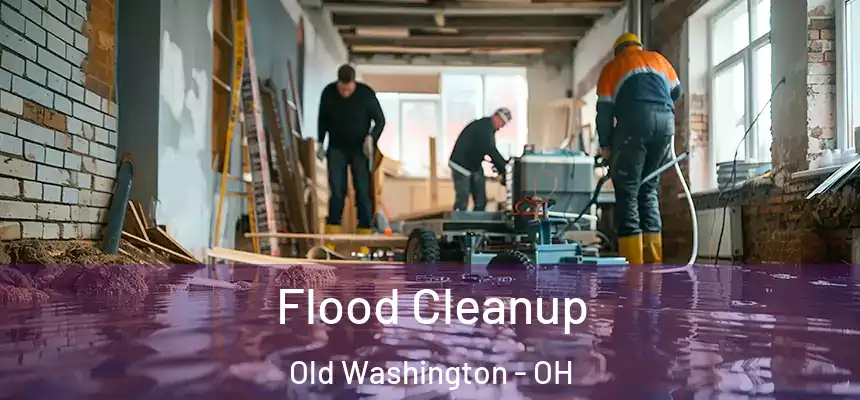 Flood Cleanup Old Washington - OH