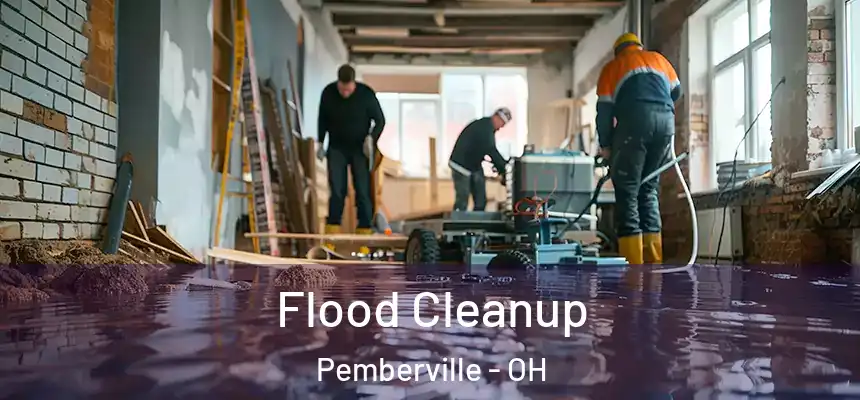  Flood Cleanup Pemberville - OH