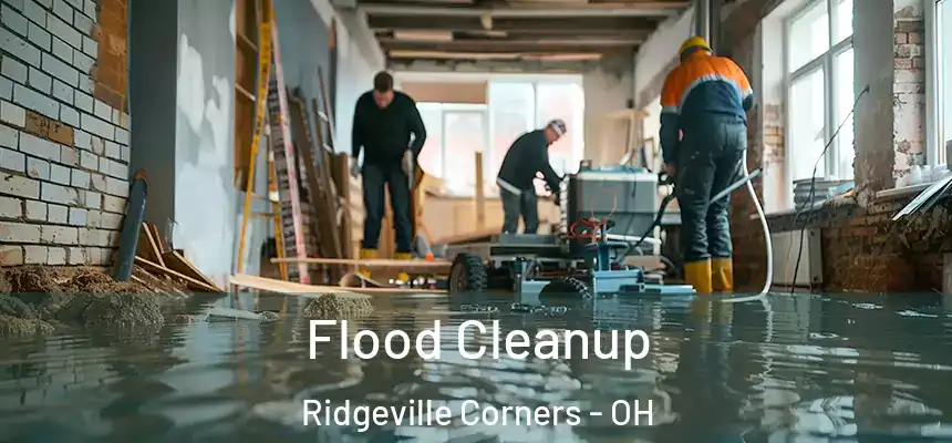  Flood Cleanup Ridgeville Corners - OH
