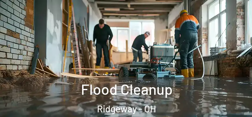 Flood Cleanup Ridgeway - OH