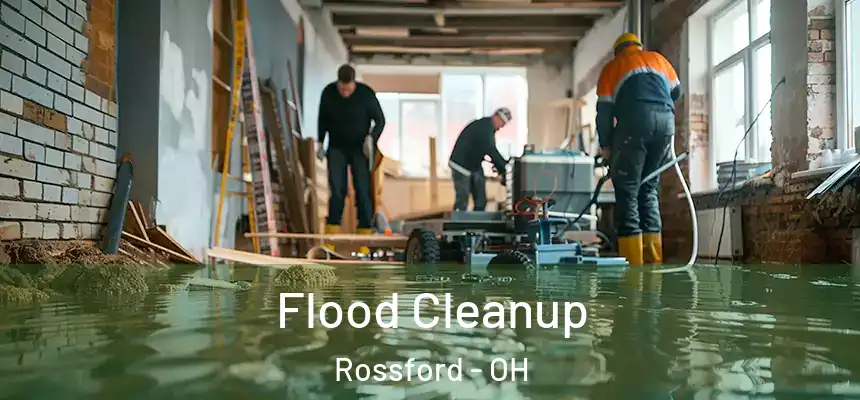  Flood Cleanup Rossford - OH
