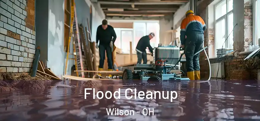  Flood Cleanup Wilson - OH