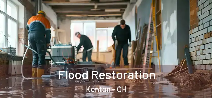  Flood Restoration Kenton - OH