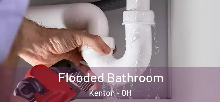  Flooded Bathroom Kenton - OH