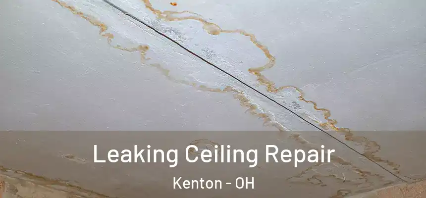  Leaking Ceiling Repair Kenton - OH