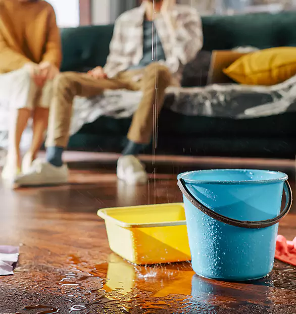 Trusted Water Remediation Company in Kenton, OH