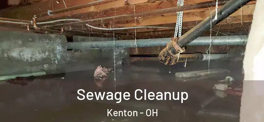  Sewage Cleanup Kenton - OH