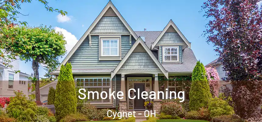  Smoke Cleaning Cygnet - OH