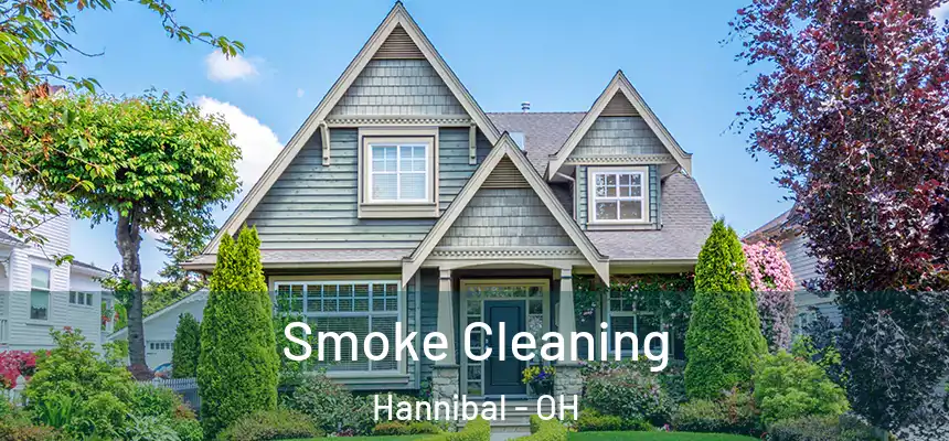  Smoke Cleaning Hannibal - OH