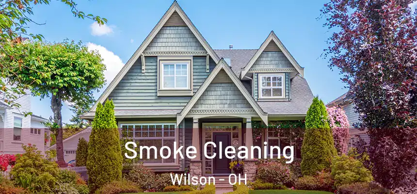 Smoke Cleaning Wilson - OH