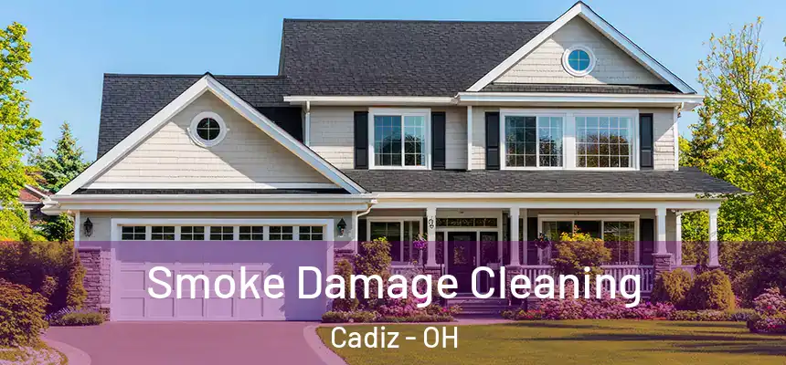  Smoke Damage Cleaning Cadiz - OH