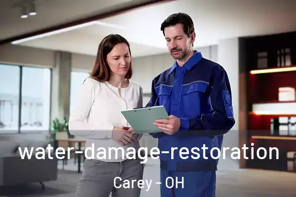 water-damage-restoration Carey - OH