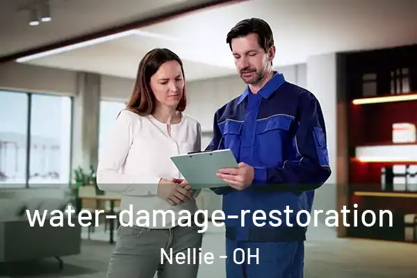 water-damage-restoration Nellie - OH