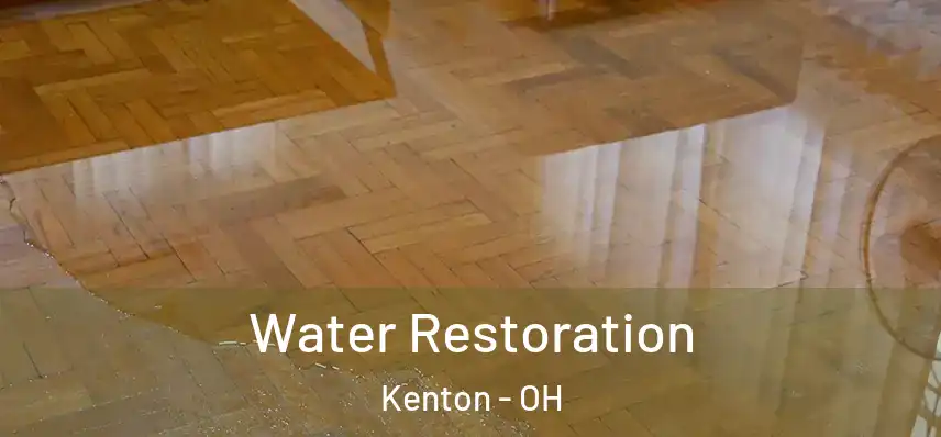  Water Restoration Kenton - OH